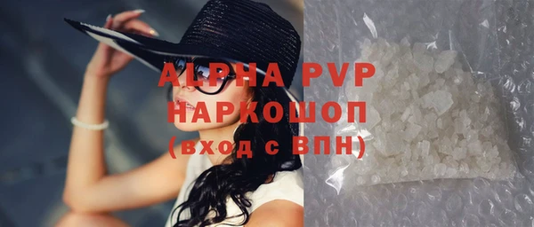 гашик Арсеньев