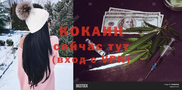 гашик Арсеньев